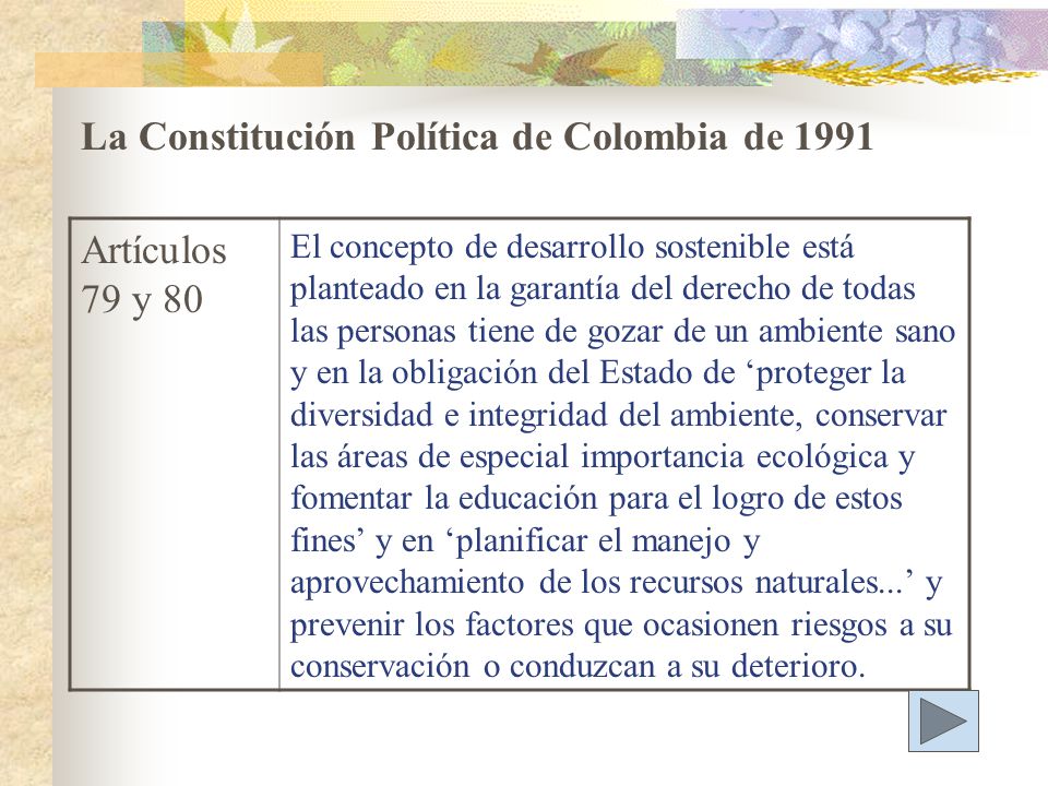 La Constitución Política de Colombia de 1991 Artículos 79 y 80