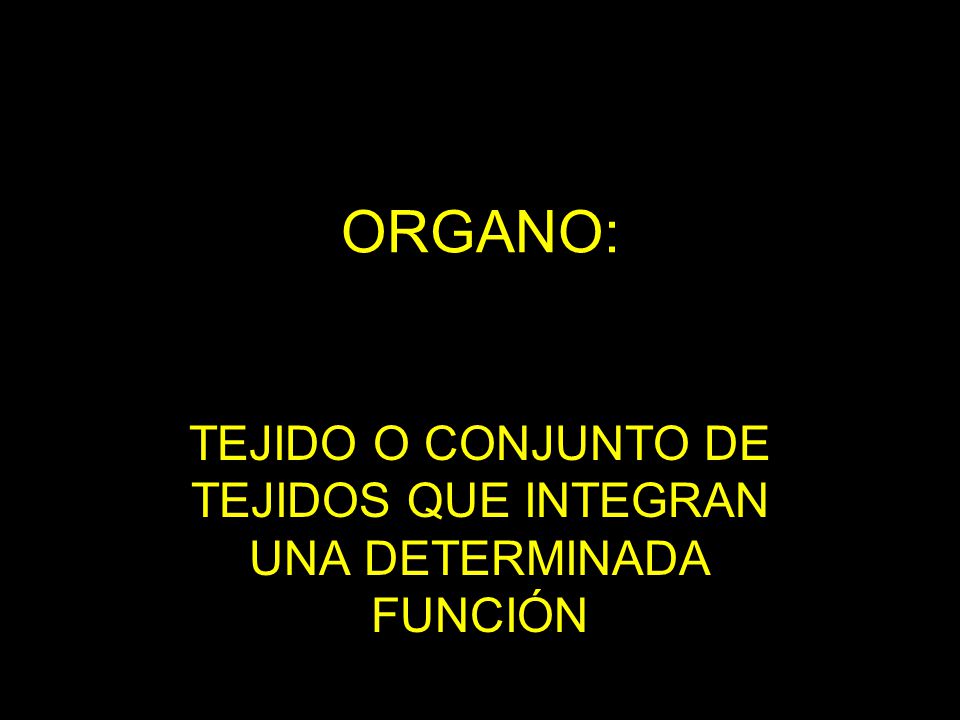 TEJIDO O CONJUNTO DE TEJIDOS QUE INTEGRAN UNA DETERMINADA FUNCIÓN