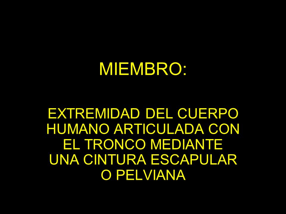 MIEMBRO: EXTREMIDAD DEL CUERPO HUMANO ARTICULADA CON EL TRONCO MEDIANTE UNA CINTURA ESCAPULAR O PELVIANA.