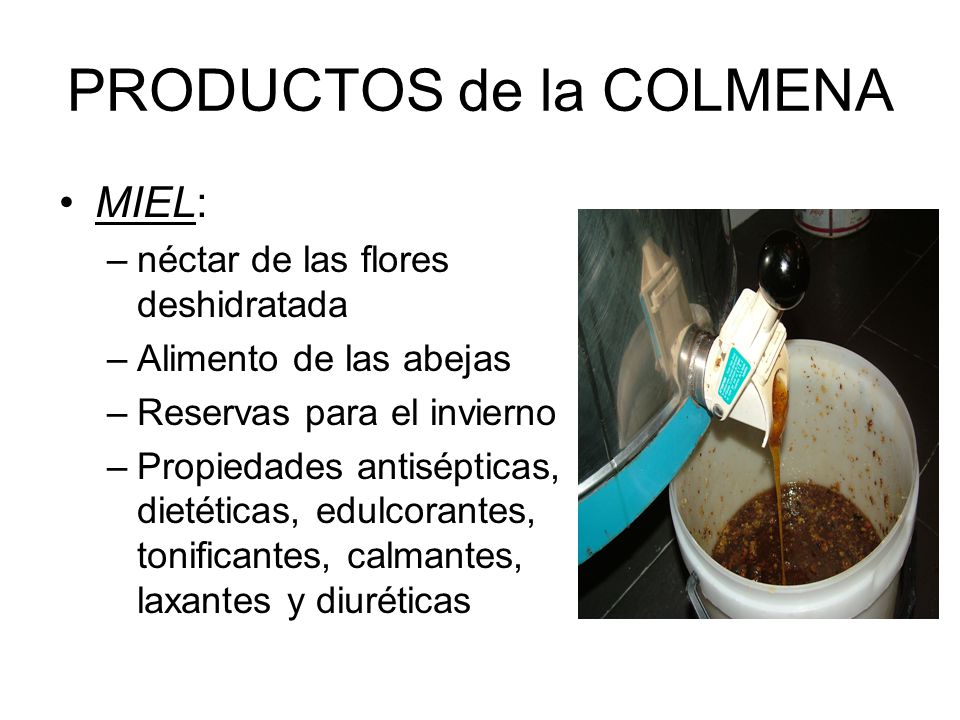 PRODUCTOS de la COLMENA