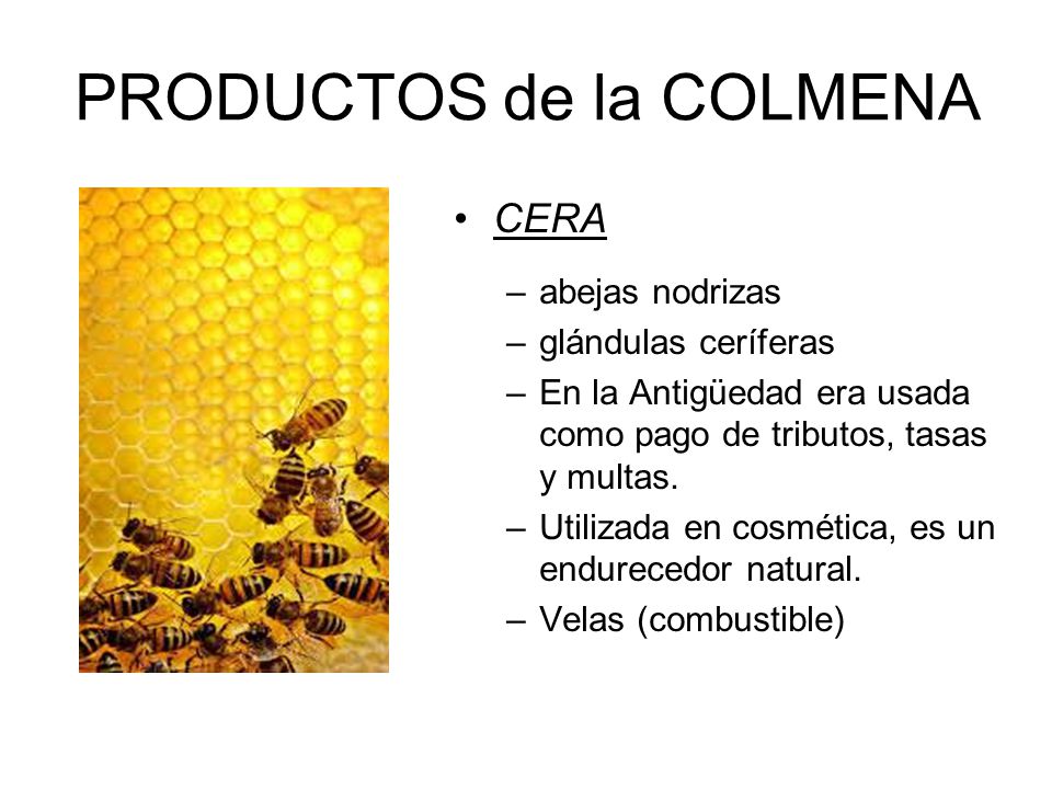 PRODUCTOS de la COLMENA