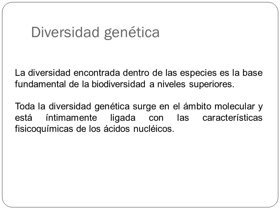 Diversidad genética La diversidad encontrada dentro de las especies es la base fundamental de la biodiversidad a niveles superiores.
