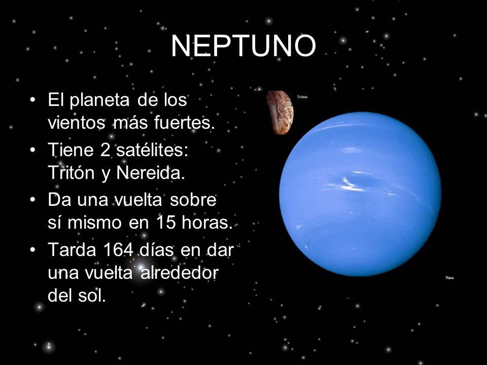 Нептуно. Neptuno перевод. Лисса Нептуно.