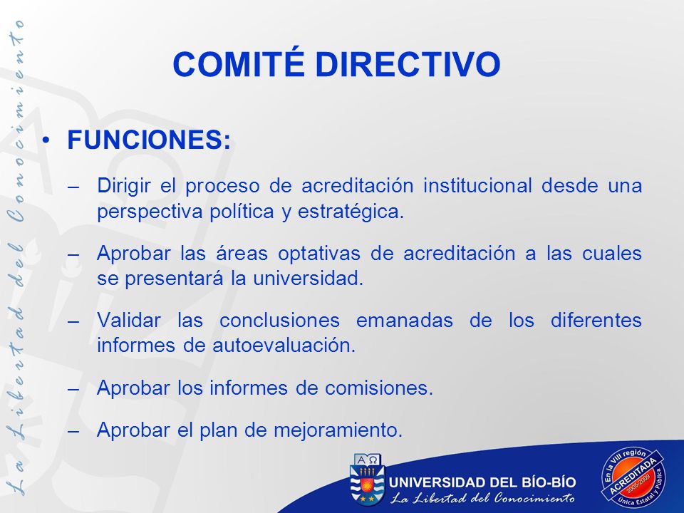 COMITÉ DIRECTIVO FUNCIONES: