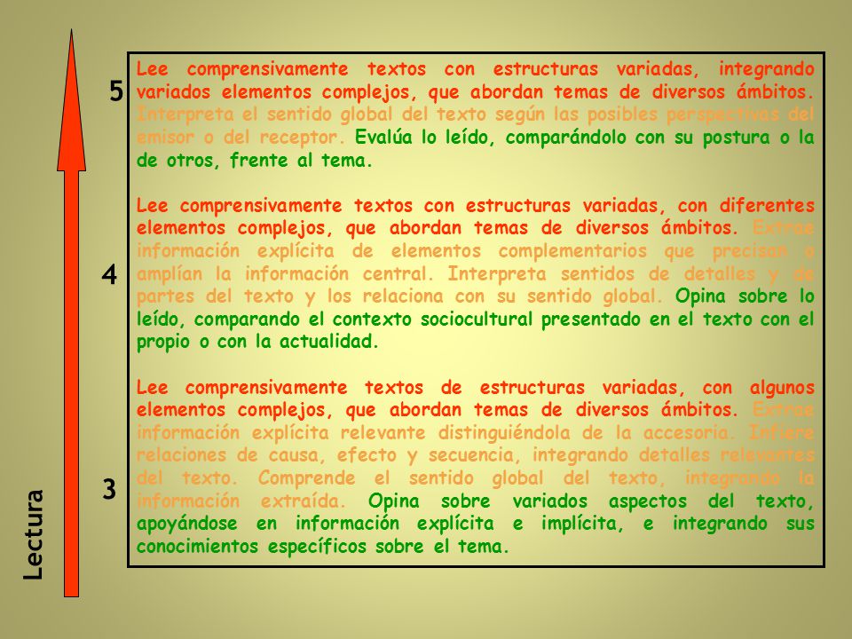 Lee comprensivamente textos con estructuras variadas, integrando variados elementos complejos, que abordan temas de diversos ámbitos. Interpreta el sentido global del texto según las posibles perspectivas del emisor o del receptor. Evalúa lo leído, comparándolo con su postura o la de otros, frente al tema.