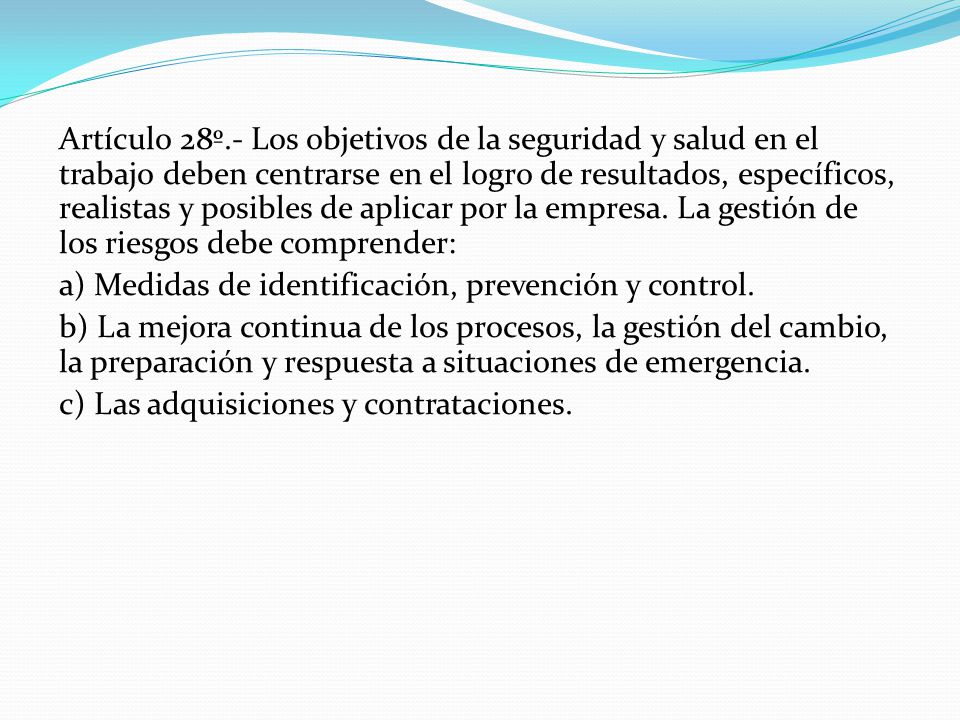 Artículo 28º.- Los objetivos de la seguridad y salud en el trabajo deben centrarse en el logro de resultados, específicos, realistas y posibles de aplicar por la empresa. La gestión de los riesgos debe comprender: