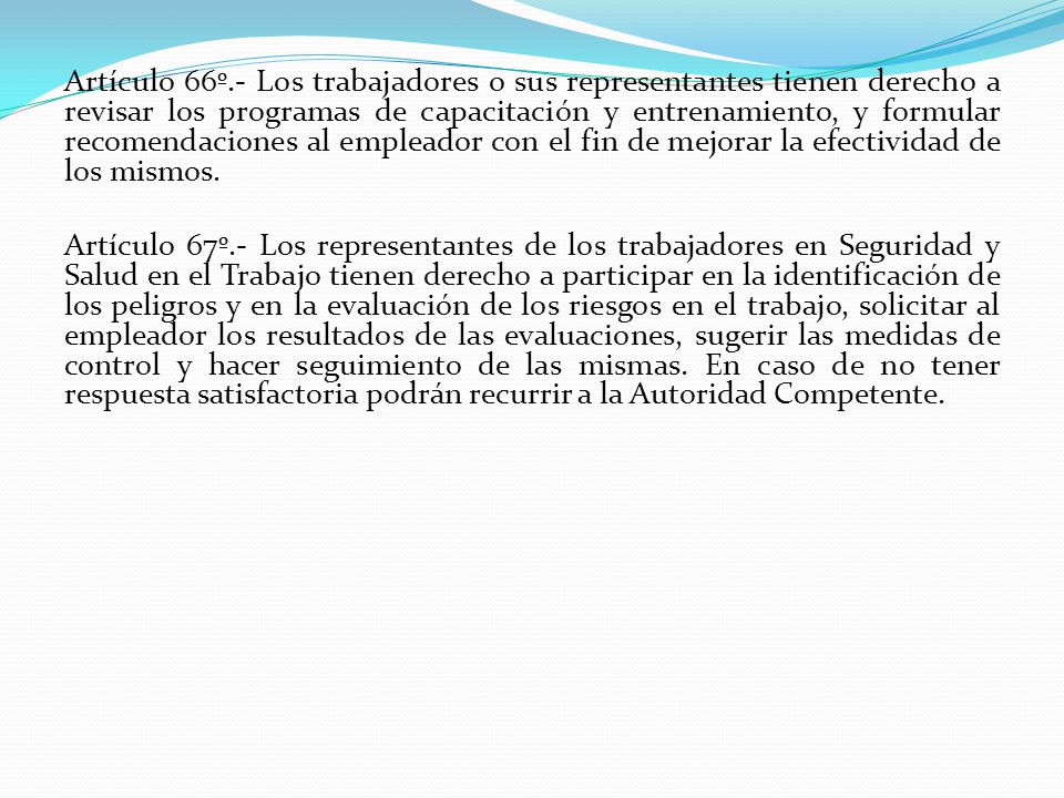 Artículo 66º.- Los trabajadores o sus representantes tienen derecho a revisar los programas de capacitación y entrenamiento, y formular recomendaciones al empleador con el fin de mejorar la efectividad de los mismos.
