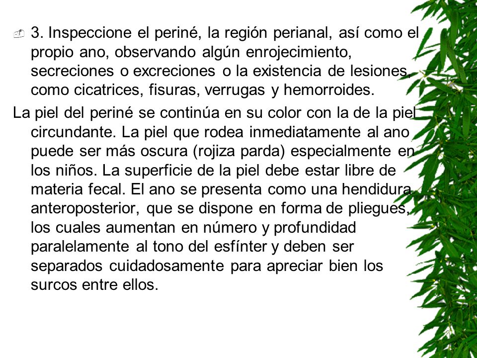 3. Inspeccione el periné, la región perianal, así como el propio ano, observando algún enrojecimiento, secreciones o excreciones o la existencia de lesiones, como cicatrices, fisuras, verrugas y hemorroides.