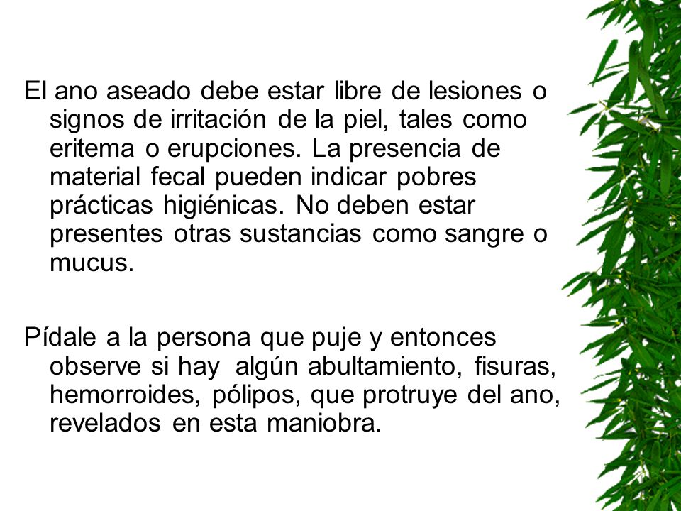 El ano aseado debe estar libre de lesiones o signos de irritación de la piel, tales como eritema o erupciones. La presencia de material fecal pueden indicar pobres prácticas higiénicas. No deben estar presentes otras sustancias como sangre o mucus.