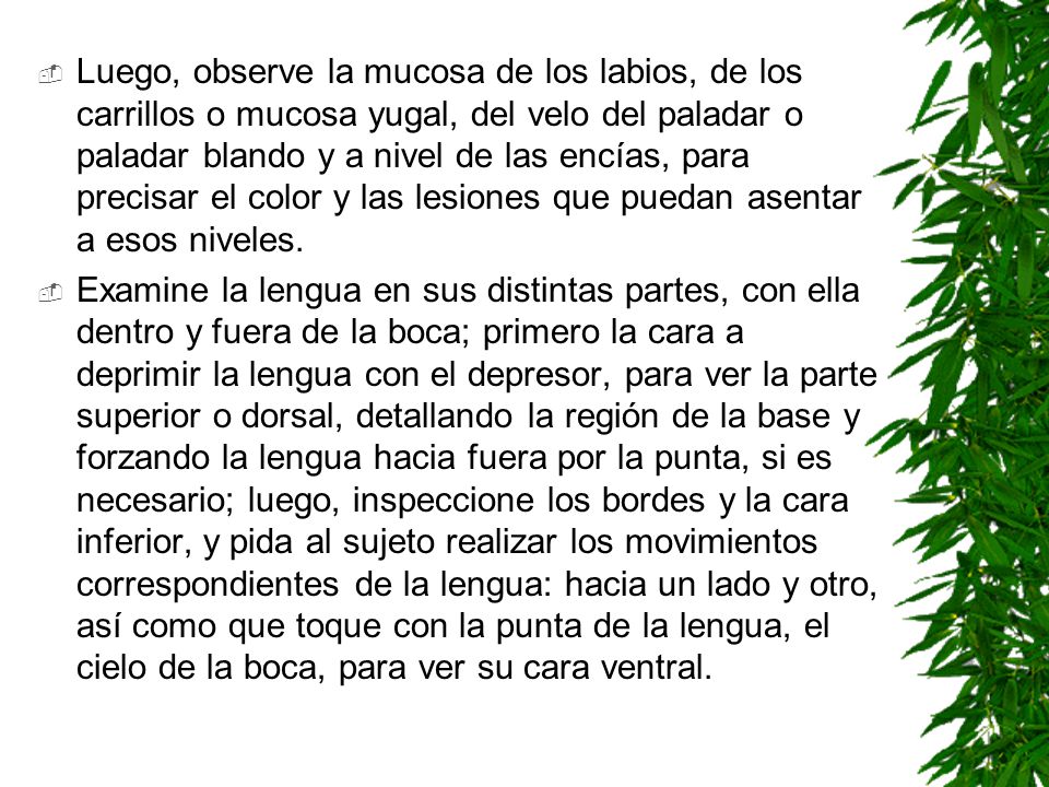 Luego, observe la mucosa de los labios, de los carrillos o mucosa yugal, del velo del paladar o paladar blando y a nivel de las encías, para precisar el color y las lesiones que puedan asentar a esos niveles.