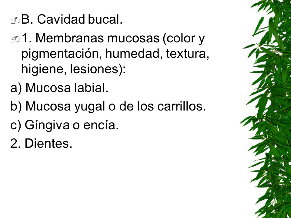 B. Cavidad bucal. 1. Membranas mucosas (color y pigmentación, humedad, textura, higiene, lesiones):