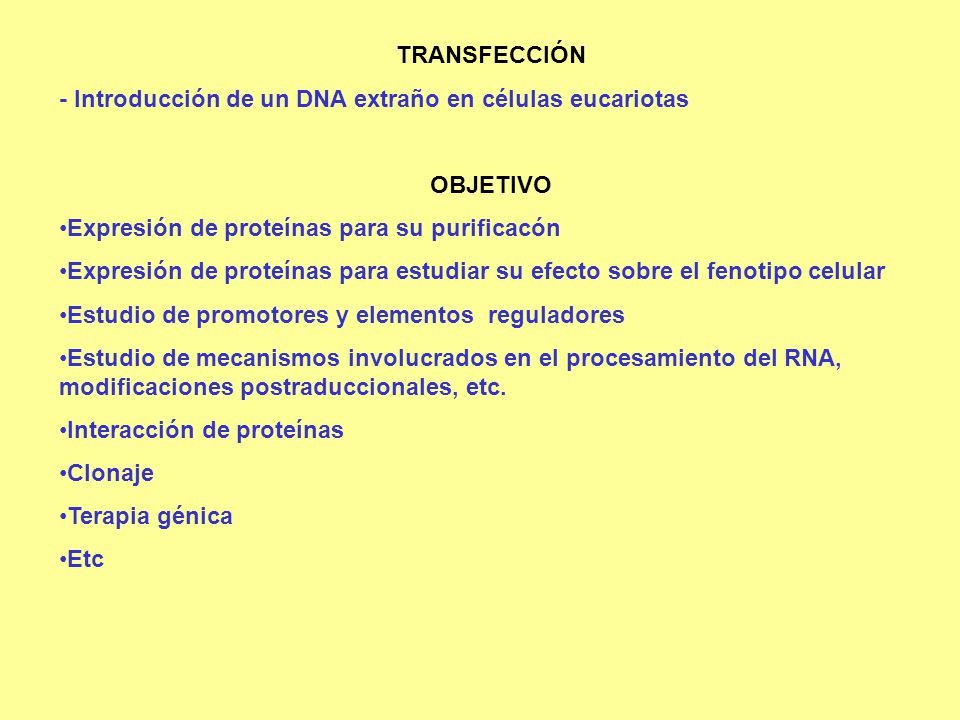TRANSFECCIÓN - Introducción de un DNA extraño en células eucariotas. OBJETIVO. Expresión de proteínas para su purificacón.