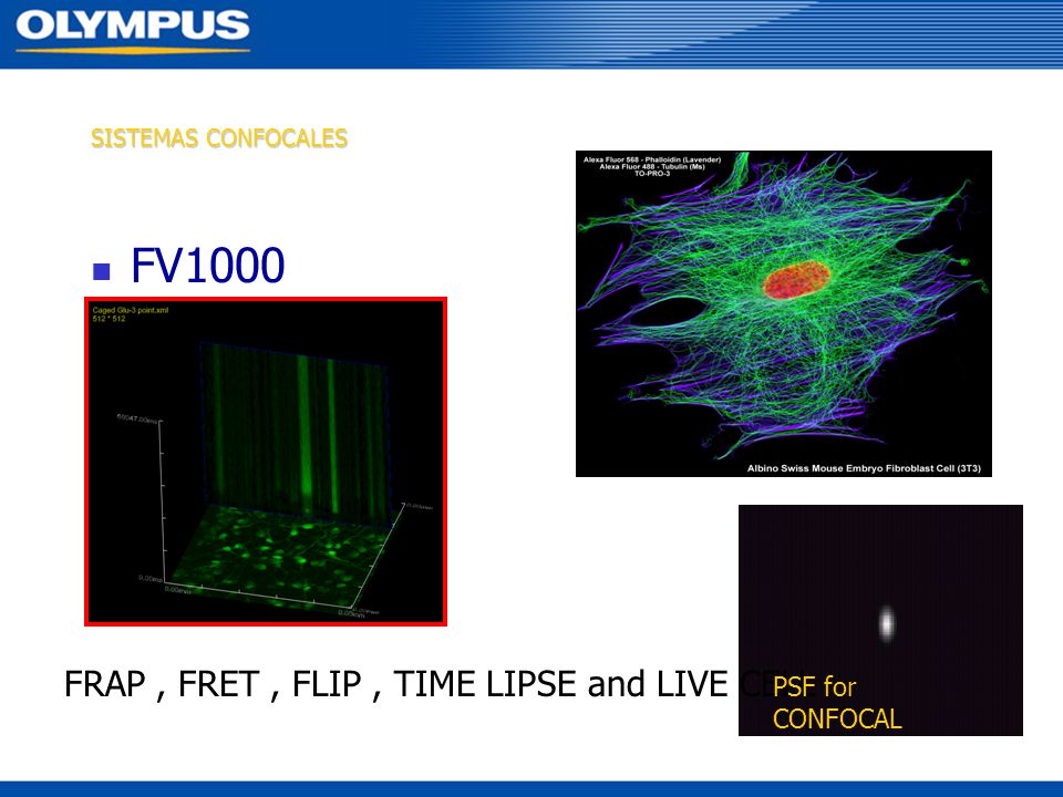 FV1000 FRAP , FRET , FLIP , TIME LIPSE and LIVE CELL PSF for CONFOCAL