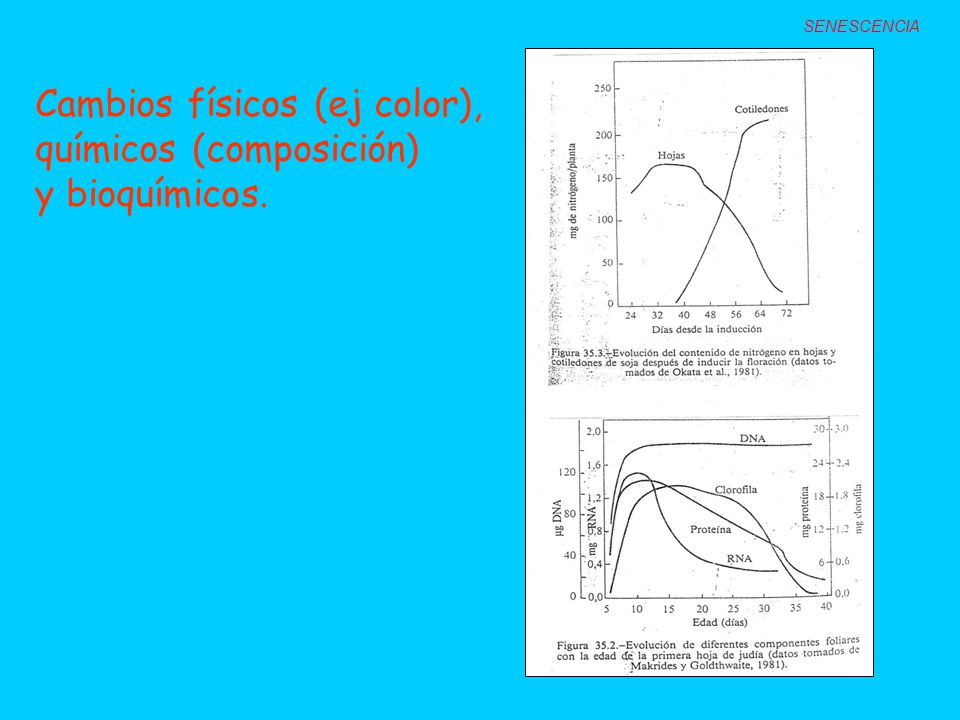 Cambios físicos (ej color), químicos (composición) y bioquímicos.