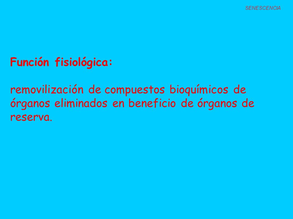 SENESCENCIA Función fisiológica: removilización de compuestos bioquímicos de órganos eliminados en beneficio de órganos de reserva.
