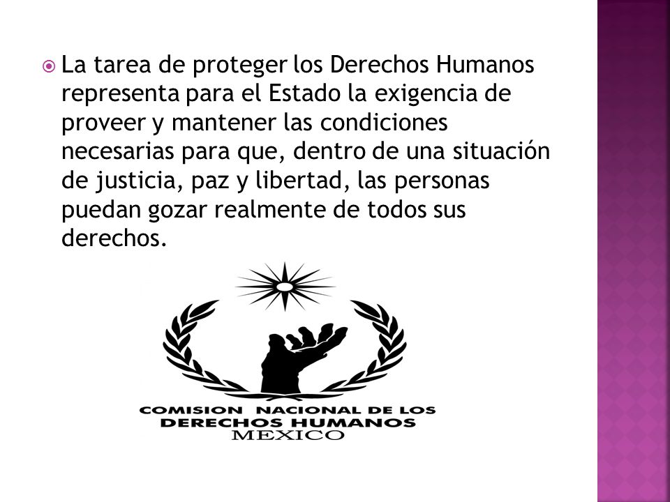 La tarea de proteger los Derechos Humanos representa para el Estado la exigencia de proveer y mantener las condiciones necesarias para que, dentro de una situación de justicia, paz y libertad, las personas puedan gozar realmente de todos sus derechos.