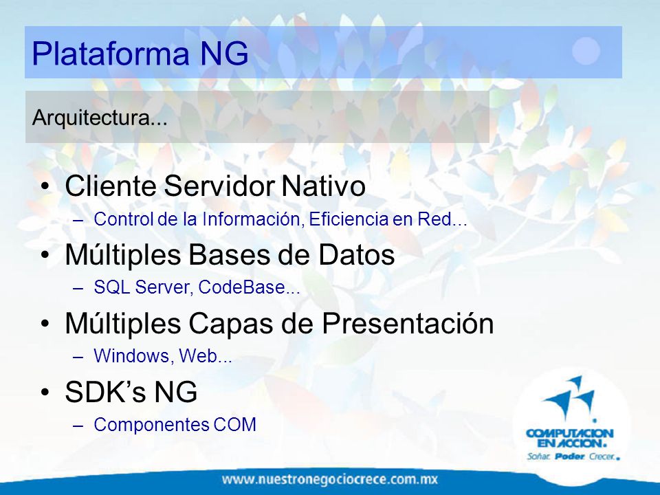 Plataforma NG Cliente Servidor Nativo Múltiples Bases de Datos