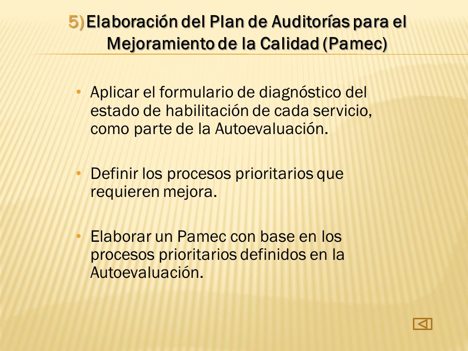 Elaboración del Plan de Auditorías para el Mejoramiento de la Calidad (Pamec)