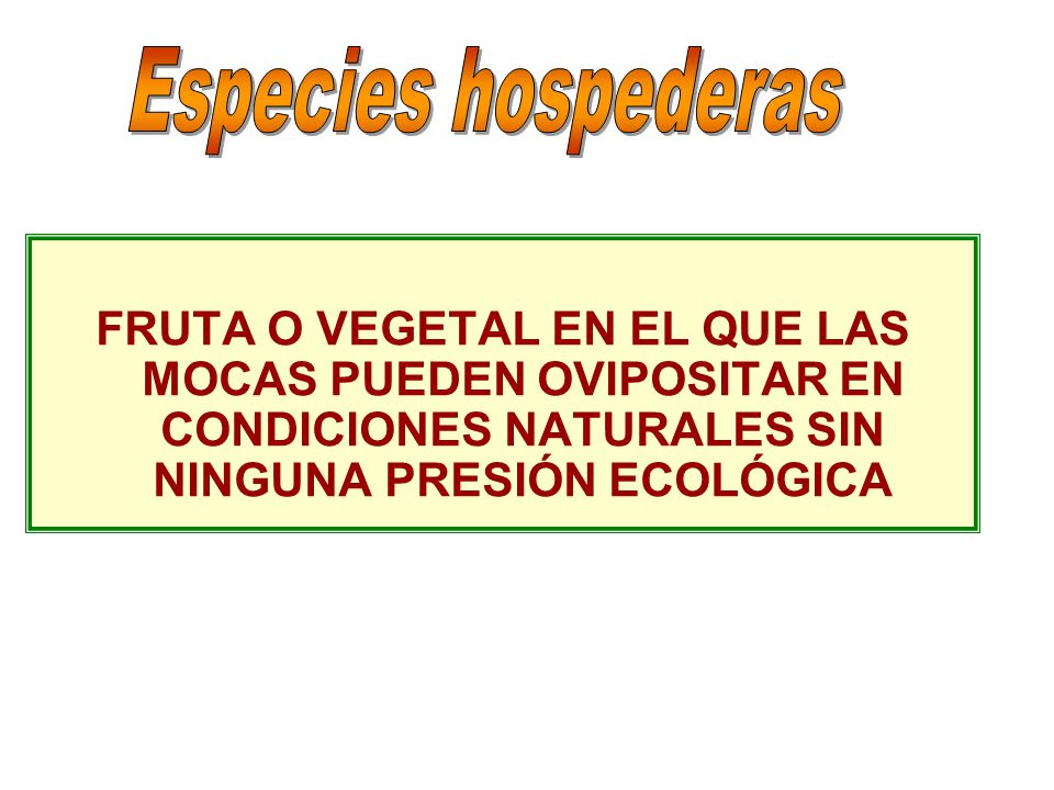 Especies hospederas FRUTA O VEGETAL EN EL QUE LAS MOCAS PUEDEN OVIPOSITAR EN CONDICIONES NATURALES SIN NINGUNA PRESIÓN ECOLÓGICA.