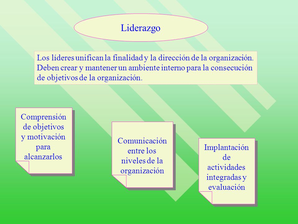 Liderazgo