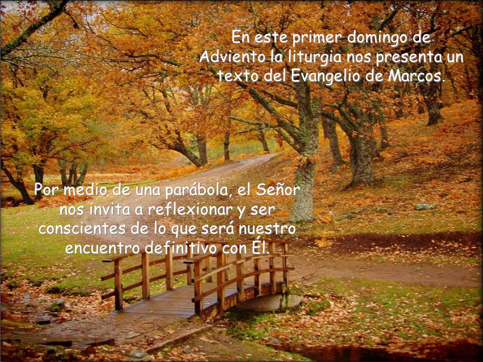 En este primer domingo de Adviento la liturgia nos presenta un texto del Evangelio de Marcos.