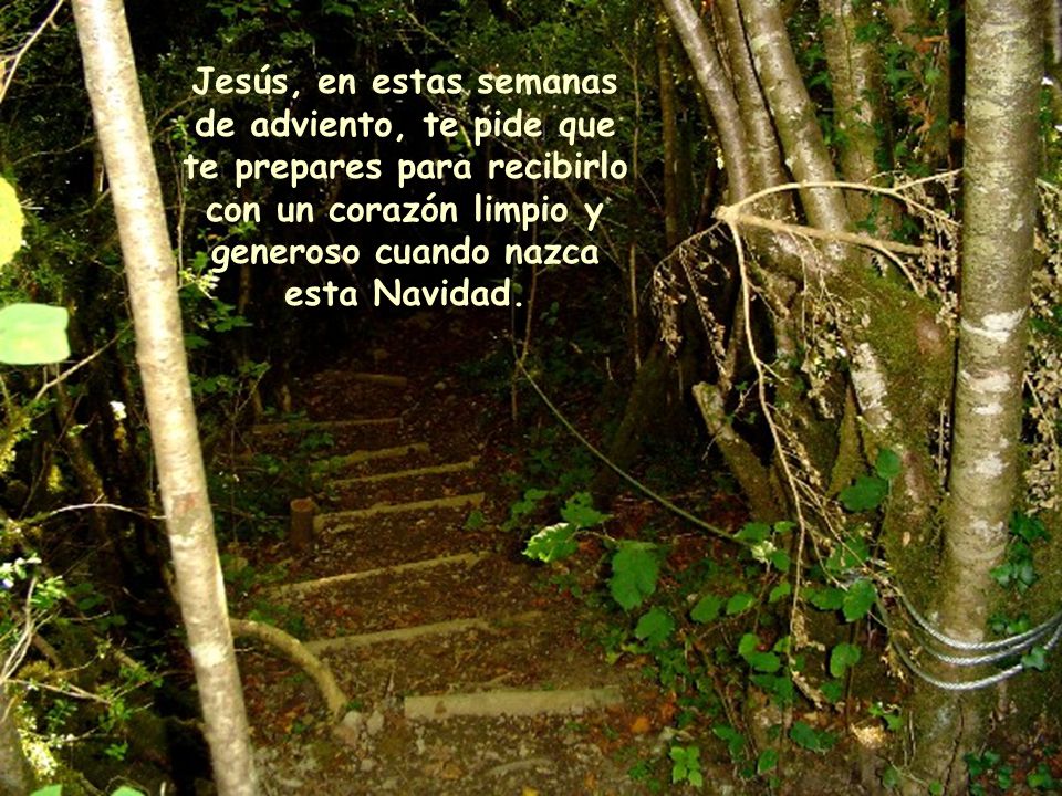 Jesús, en estas semanas de adviento, te pide que te prepares para recibirlo con un corazón limpio y generoso cuando nazca esta Navidad.