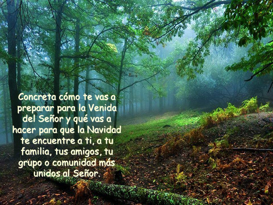 Concreta cómo te vas a preparar para la Venida del Señor y qué vas a hacer para que la Navidad te encuentre a ti, a tu familia, tus amigos, tu grupo o comunidad más unidos al Señor.