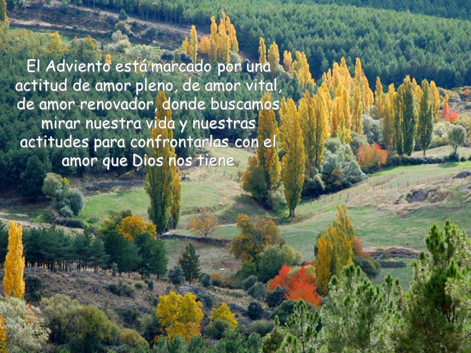 El Adviento está marcado por una actitud de amor pleno, de amor vital, de amor renovador, donde buscamos mirar nuestra vida y nuestras actitudes para confrontarlas con el amor que Dios nos tiene
