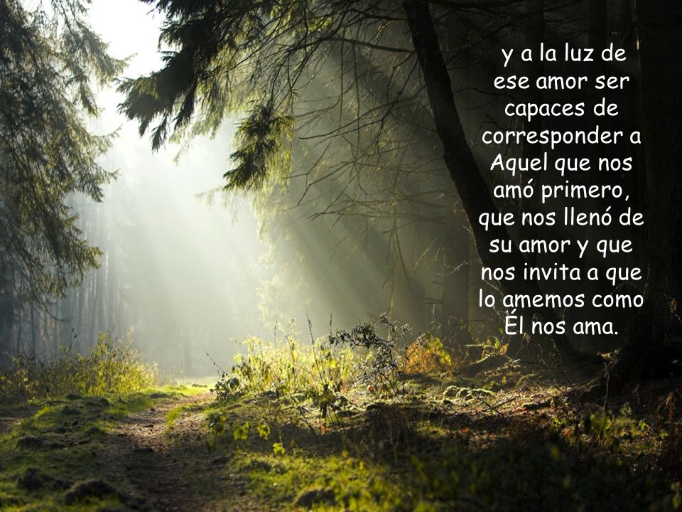 y a la luz de ese amor ser capaces de corresponder a Aquel que nos amó primero, que nos llenó de su amor y que nos invita a que lo amemos como Él nos ama.