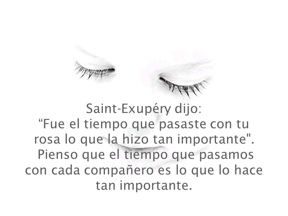 Saint-Exupéry dijo: Fue el tiempo que pasaste con tu rosa lo que la hizo tan importante .