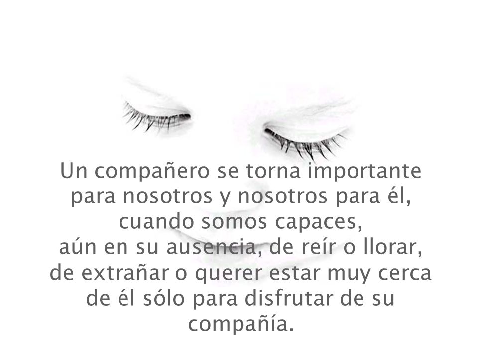 Un compañero se torna importante para nosotros y nosotros para él, cuando somos capaces, aún en su ausencia, de reír o llorar, de extrañar o querer estar muy cerca de él sólo para disfrutar de su compañía.