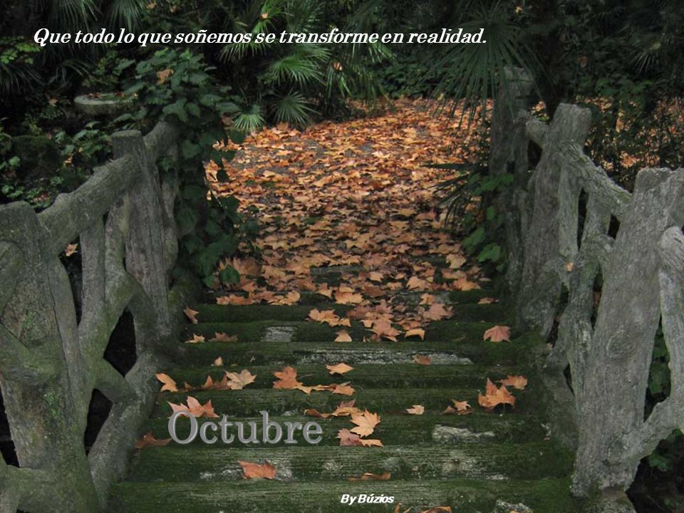 Que todo lo que soñemos se transforme en realidad.
