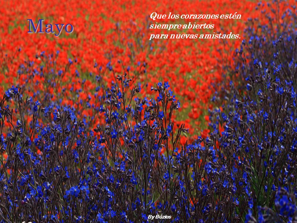 Mayo Que los corazones estén siempre abiertos para nuevas amistades.