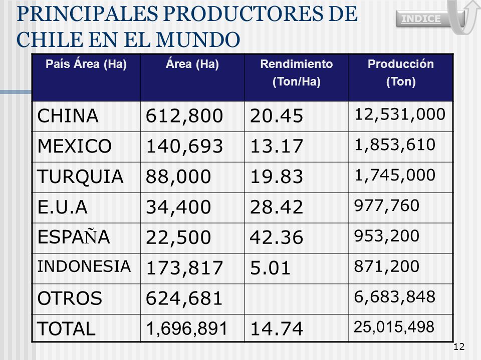 PRINCIPALES PRODUCTORES DE CHILE EN EL MUNDO