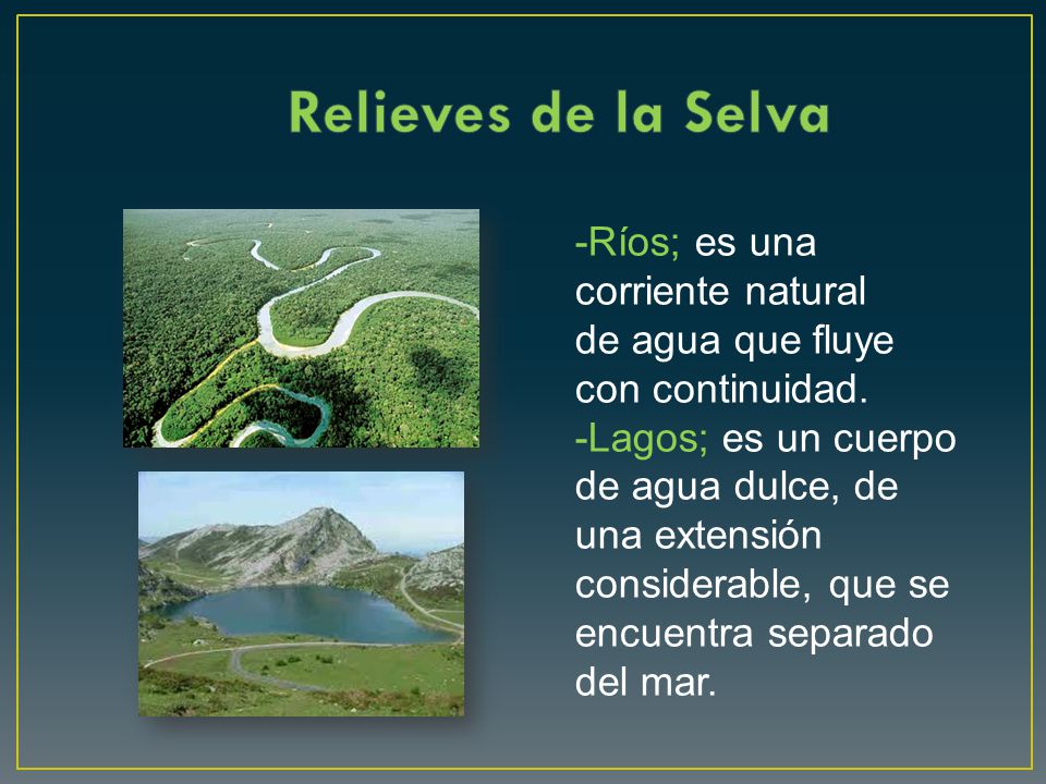 Relieves de la Selva -Ríos; es una corriente natural de agua que fluye con continuidad.