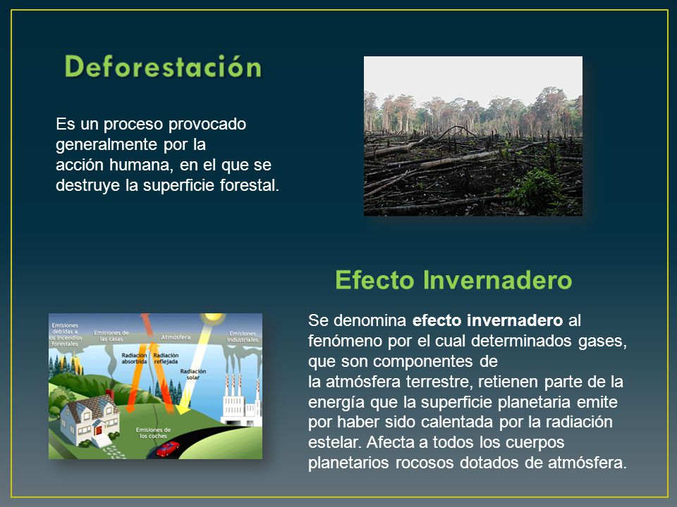 Deforestación Efecto Invernadero