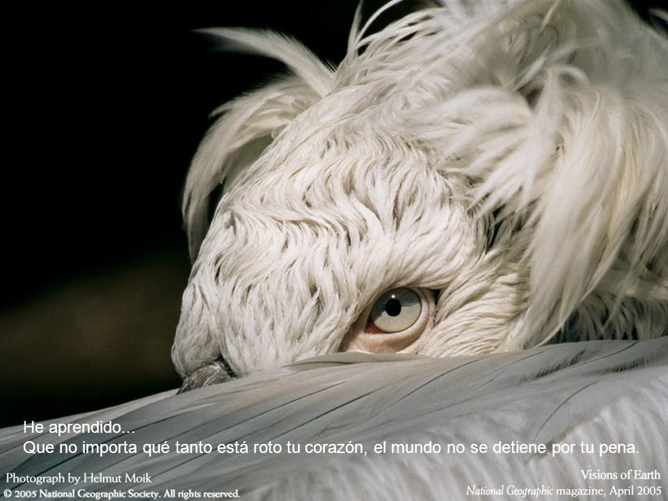 He aprendido... Que no importa qué tanto está roto tu corazón, el mundo no se detiene por tu pena.