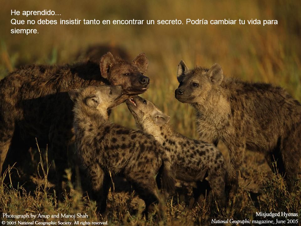 He aprendido. Que no debes insistir tanto en encontrar un secreto