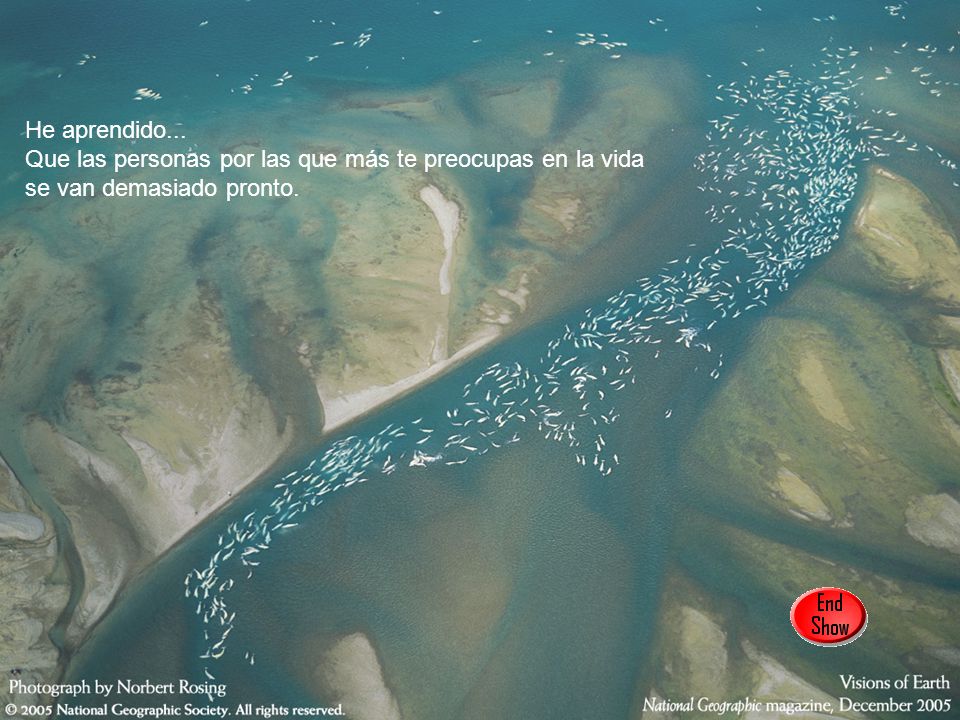 He aprendido... Que las personas por las que más te preocupas en la vida se van demasiado pronto.