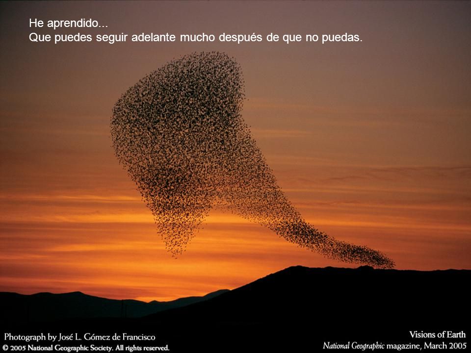 He aprendido... Que puedes seguir adelante mucho después de que no puedas.