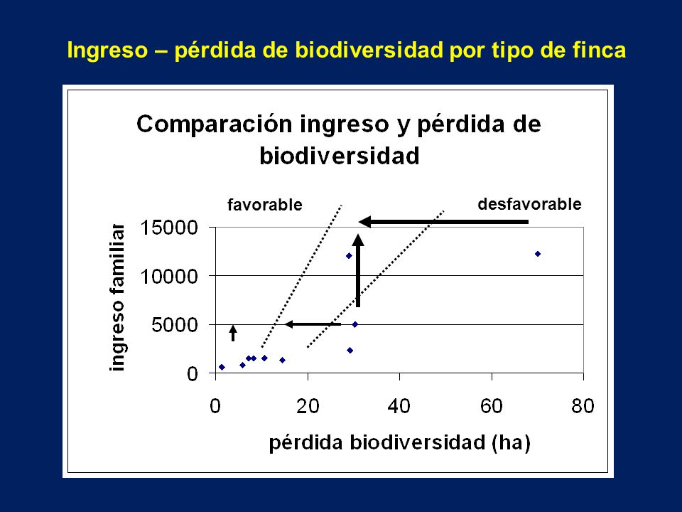 Ingreso – pérdida de biodiversidad por tipo de finca