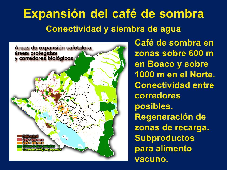 Expansión del café de sombra Conectividad y siembra de agua