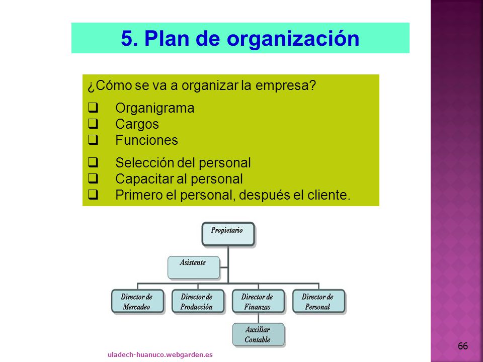 5. Plan de organización ¿Cómo se va a organizar la empresa