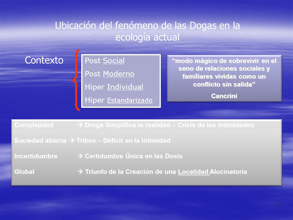 Ubicación del fenómeno de las Dogas en la ecología actual