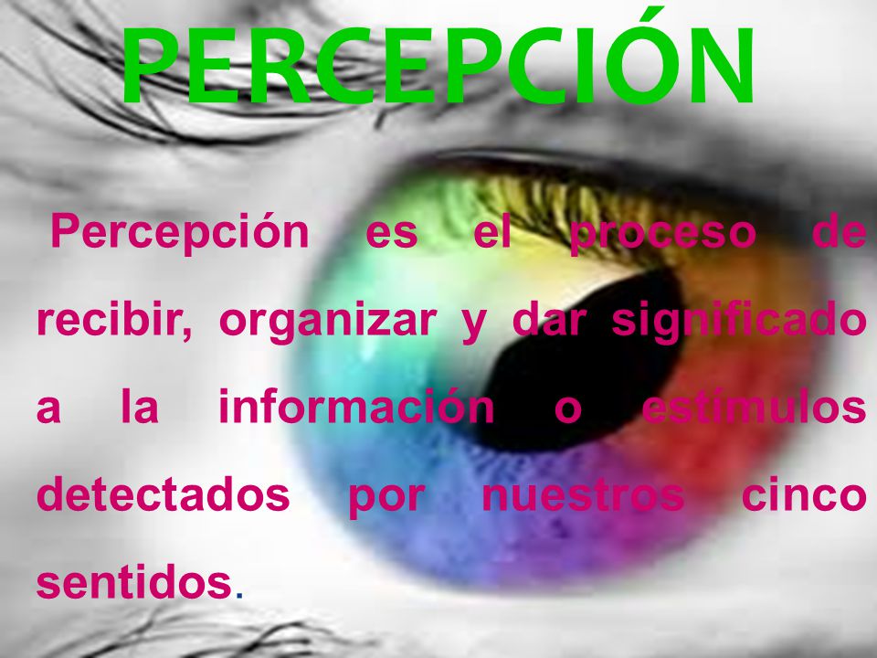 PERCEPCIÓN Percepción es el proceso de recibir, organizar y dar significado a la información o estímulos detectados por nuestros cinco sentidos.