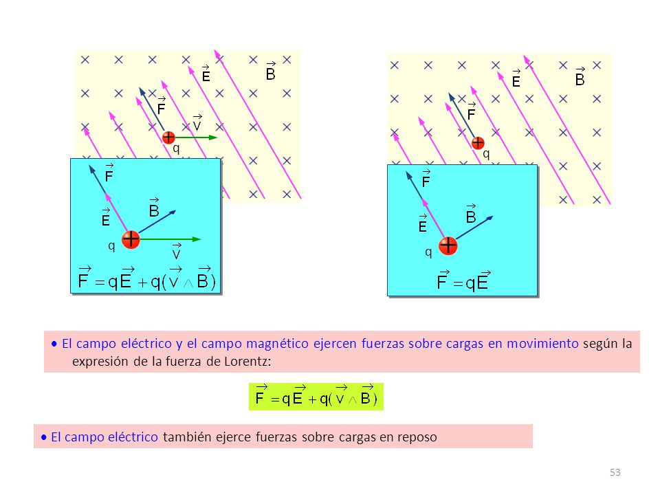 q q. q. q.  El campo eléctrico y el campo magnético ejercen fuerzas sobre cargas en movimiento según la expresión de la fuerza de Lorentz: