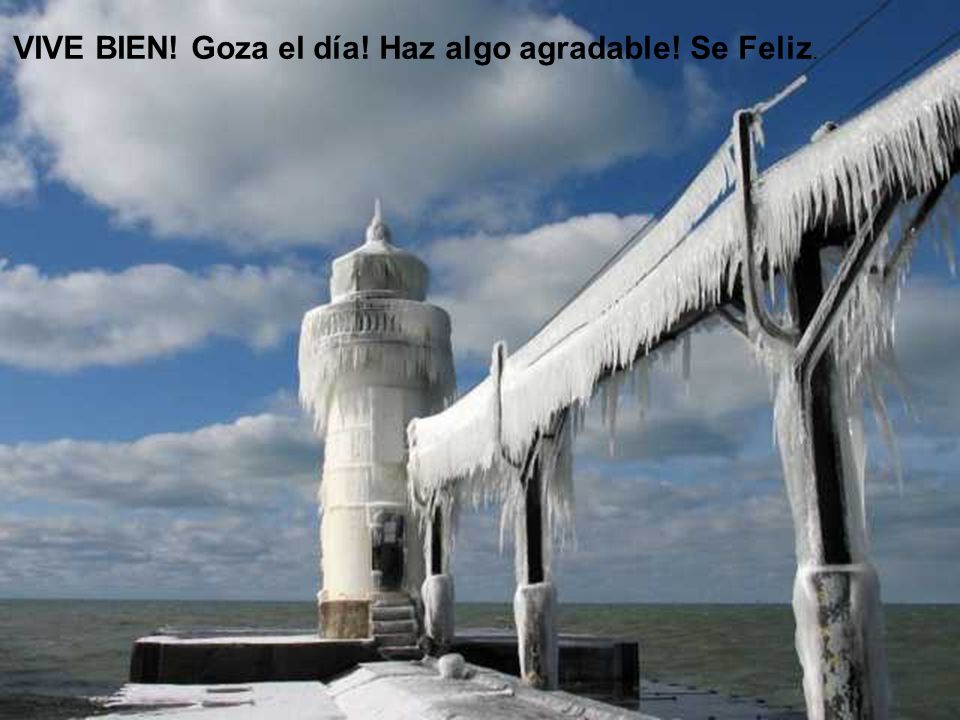 VIVE BIEN! Goza el día! Haz algo agradable! Se Feliz.