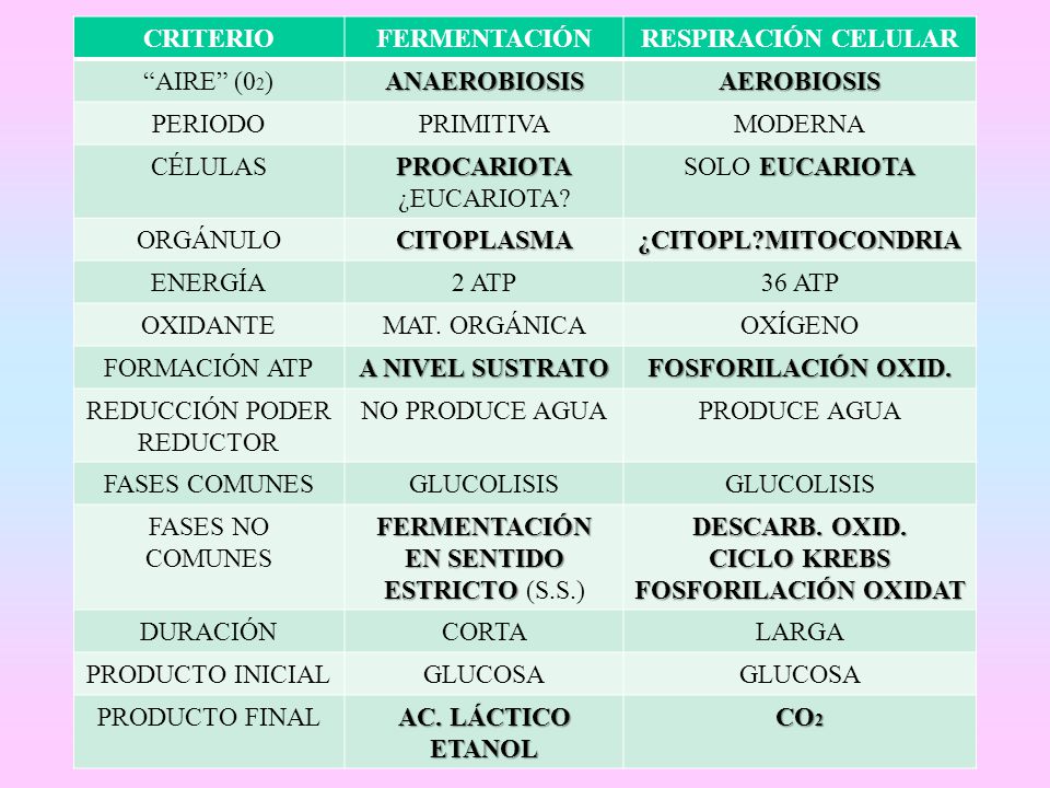 REDUCCIÓN PODER REDUCTOR NO PRODUCE AGUA PRODUCE AGUA FASES COMUNES