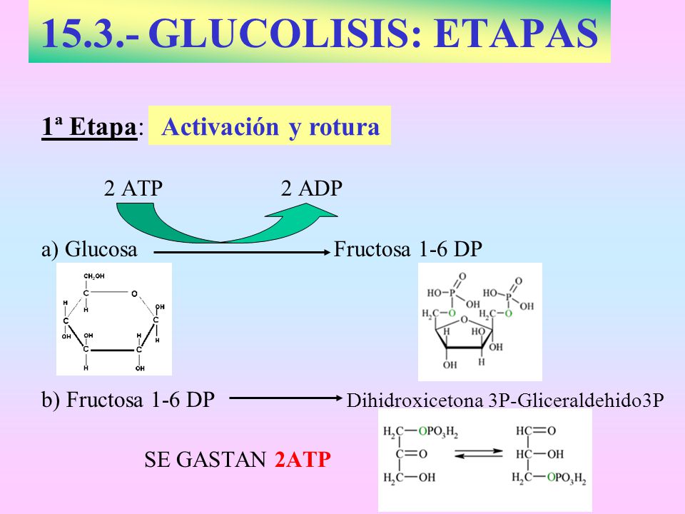 GLUCOLISIS: ETAPAS 1ª Etapa: Activación y rotura 2 ATP 2 ADP