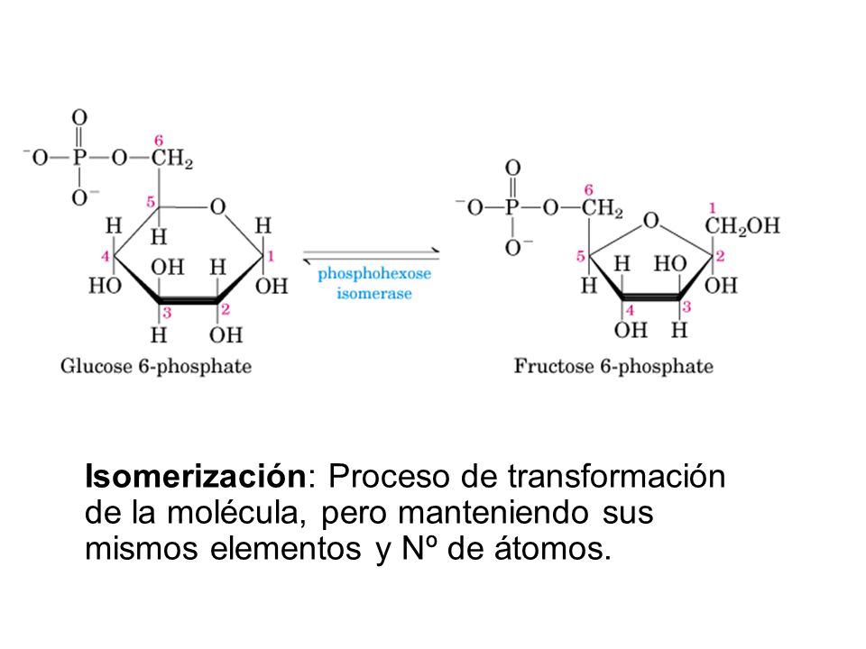 Isomerización: Proceso de transformación de la molécula, pero manteniendo sus mismos elementos y Nº de átomos.